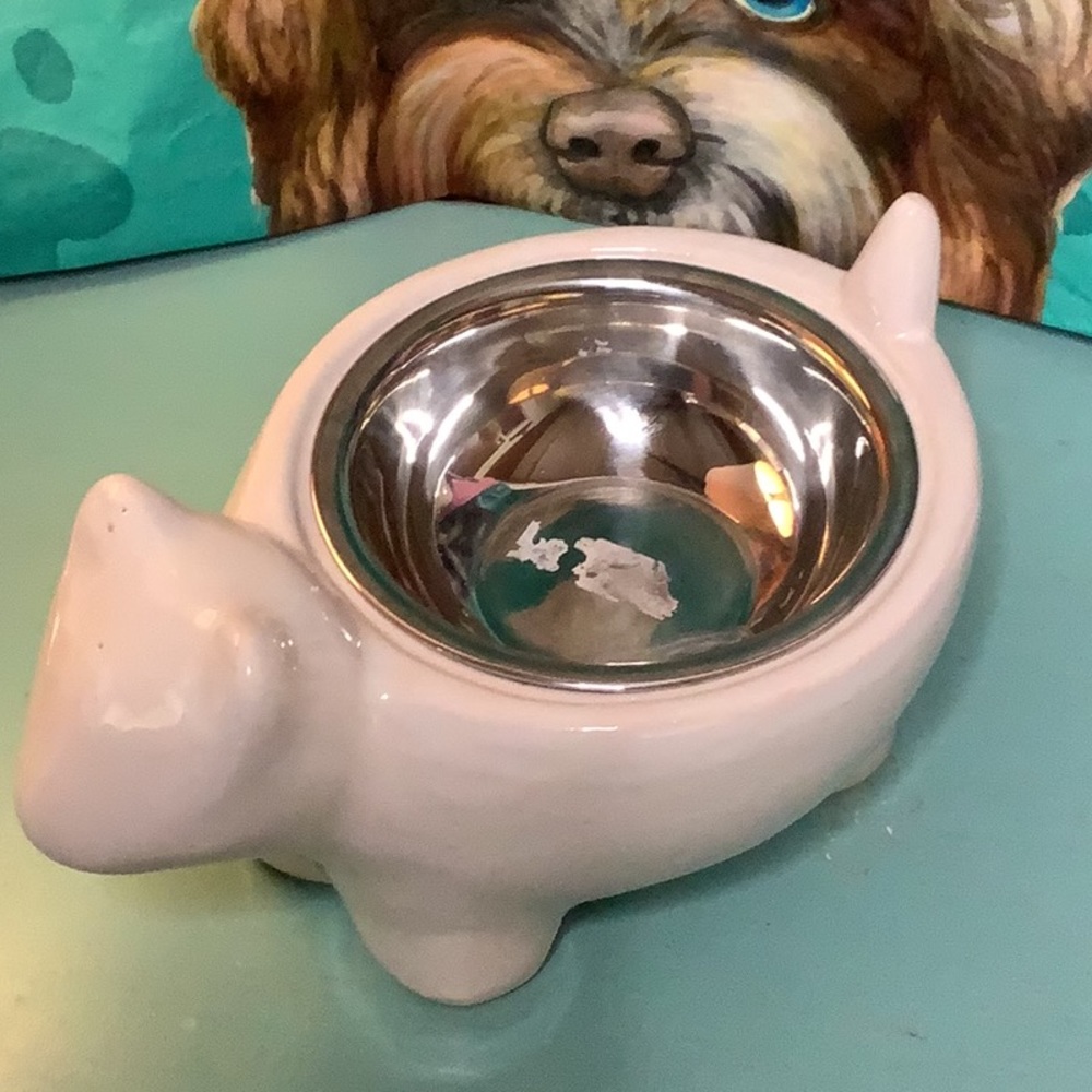 Raised Ceramic Dog Food Bowl - Picture 2 of 8